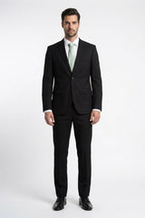 ALBERTO PAOLUCCI SLIM PLAIN SUIT FORMAL 2 BUTTON 2 VENT